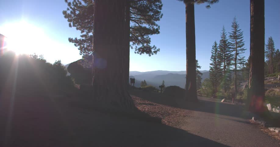 A path through a wooded area with signs on either sides of the path and mountains in the background