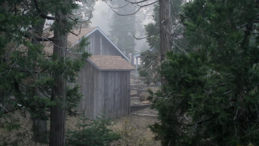 A cabin is nestled in the woods