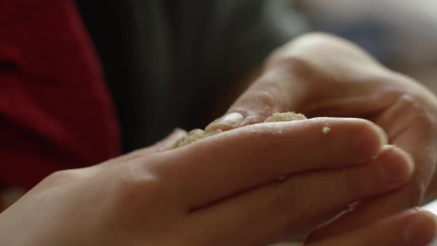 A person is rounding a small amount of cookie dough with their hands