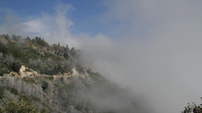 Fogs moves in over a sand dune
