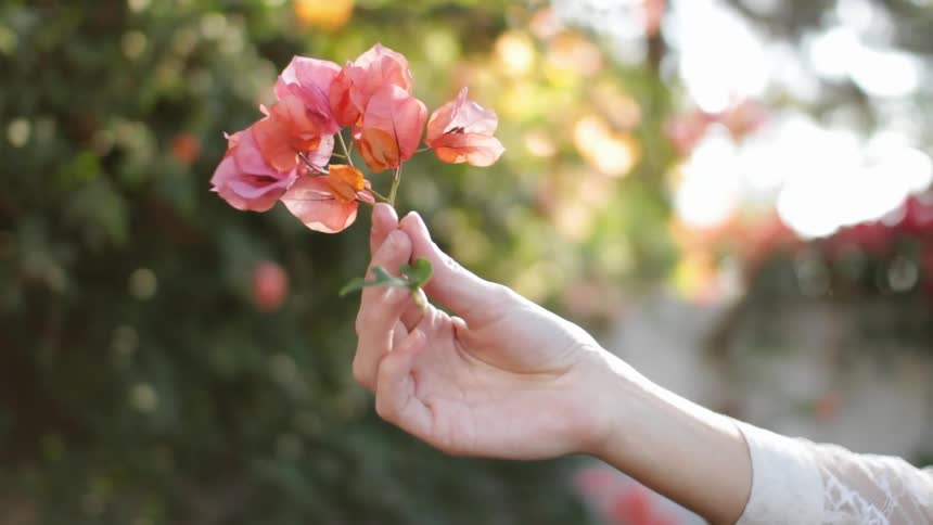 A woman holds up flower blossoms