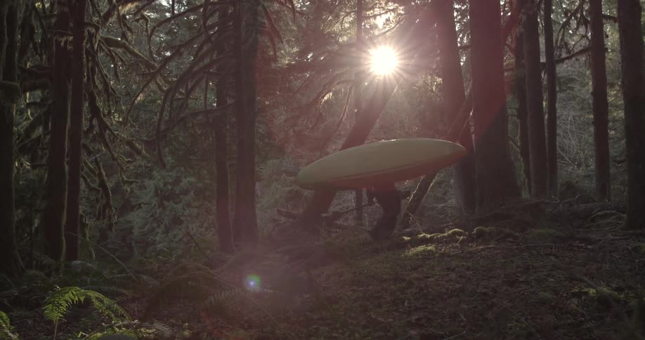A kayak is carried through the woods
