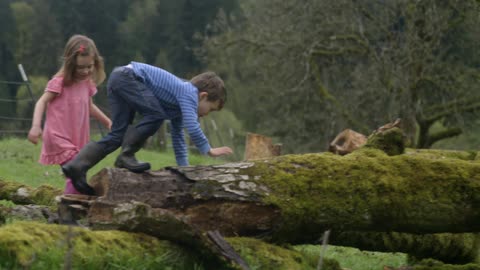A boy and girl climb up onto a mossy log