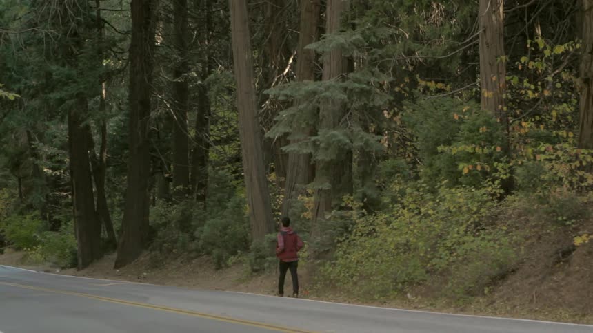 A man in a red jacket walking down a road near woods