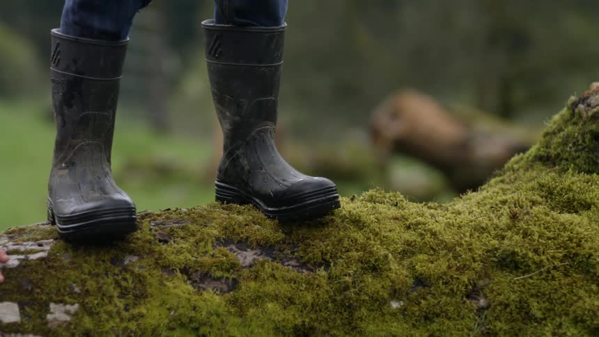 Two kids are climbing over a moss covered rock