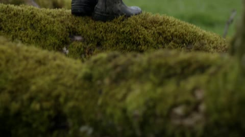 A child in rubber boots eases across a mossy log
