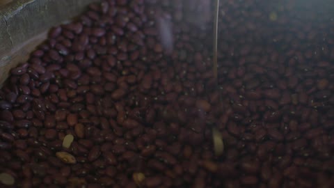 Beans poured into a container