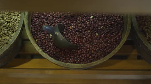 Bins of beans sit undisturbed