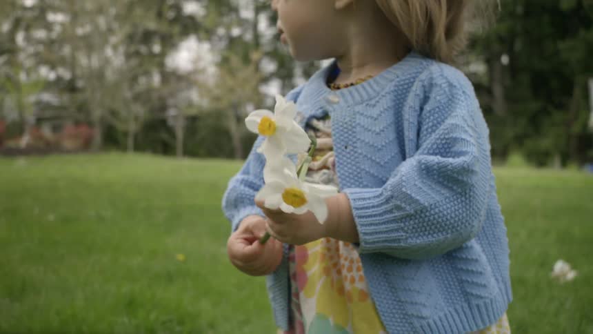A small child holds a flower by the stem