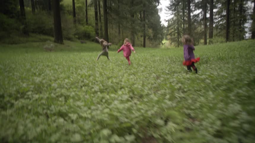 Three children are running in a forest meadow, then they all stop
