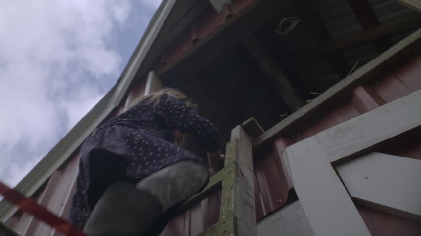 A young girl climbs up a ladder into a barn loft
